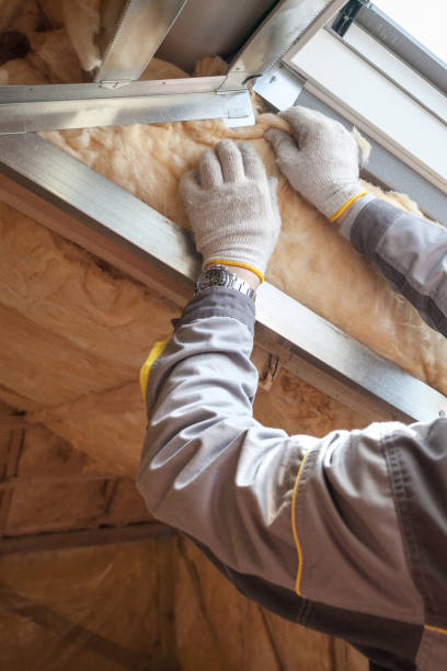 Best Cellulose Insulation in Fairview, MT